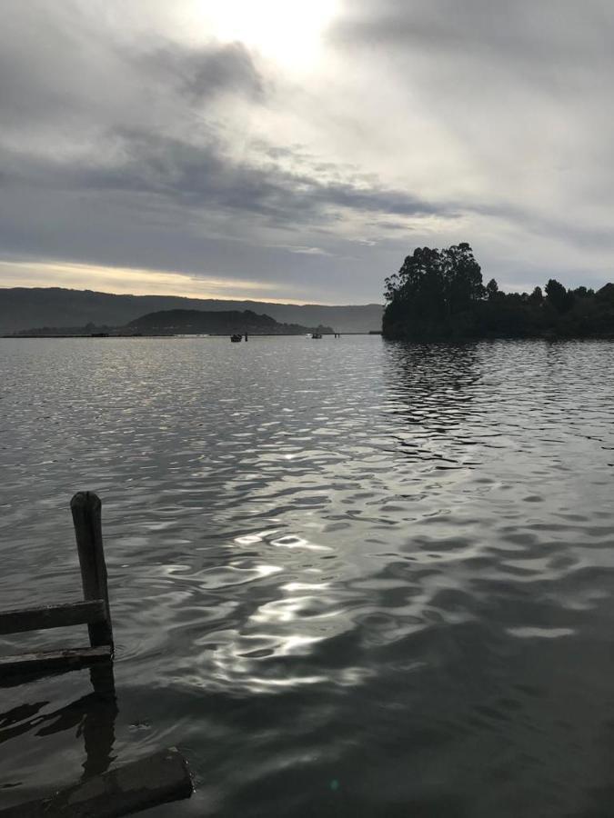 Hostel Isla Del Rey Valdivia Buitenkant foto