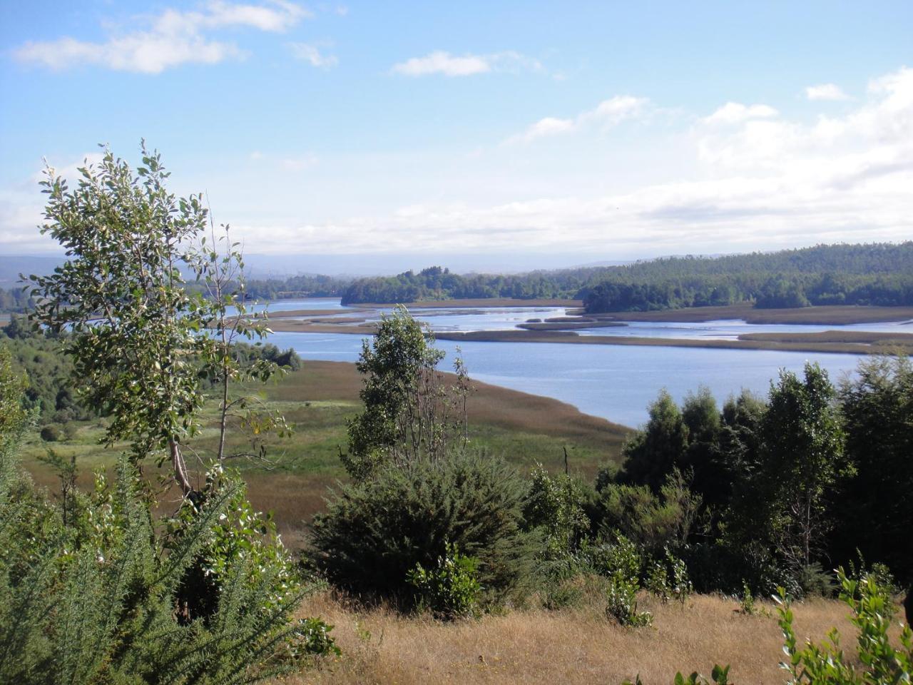 Hostel Isla Del Rey Valdivia Buitenkant foto